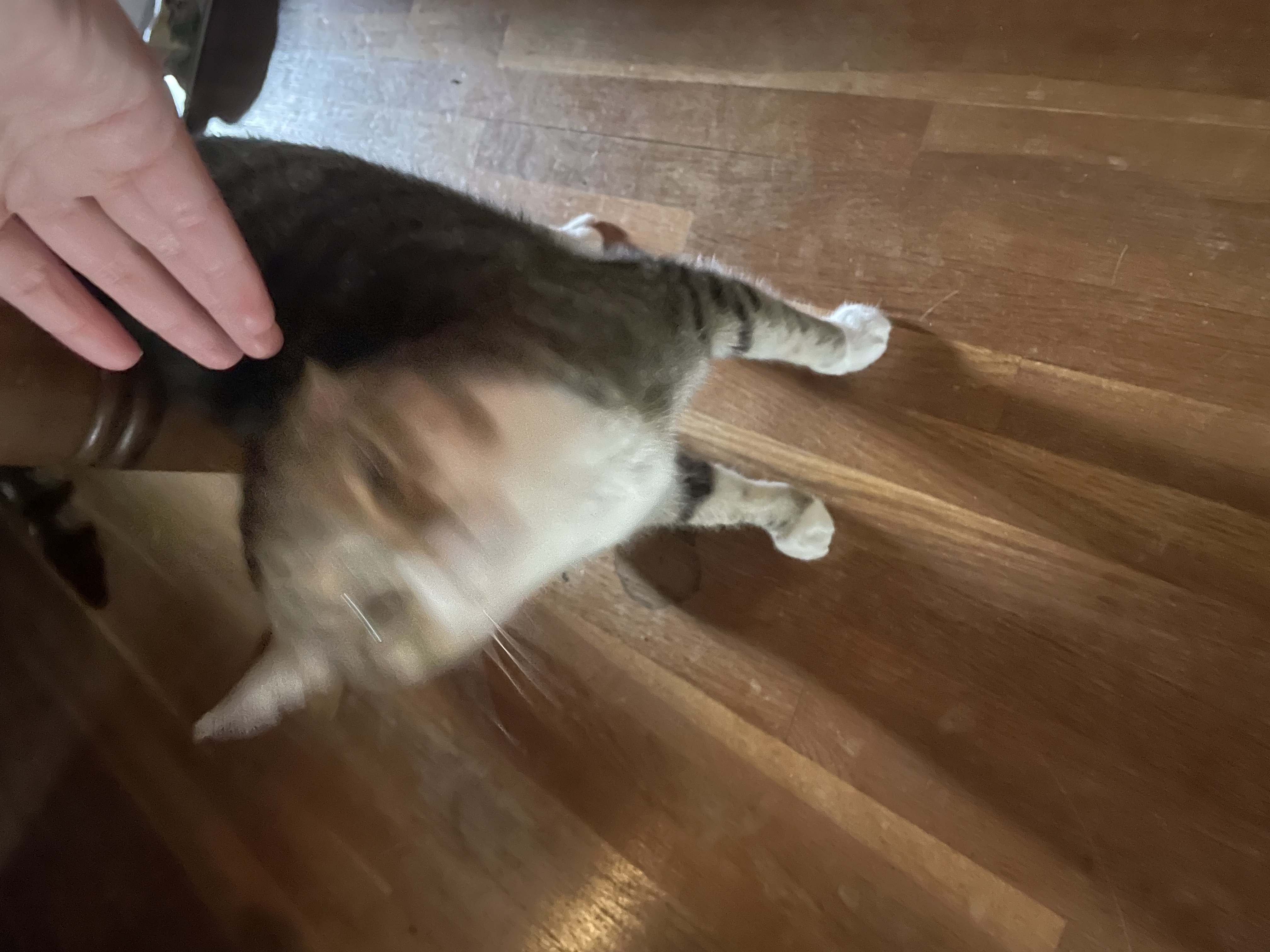blurry, hand