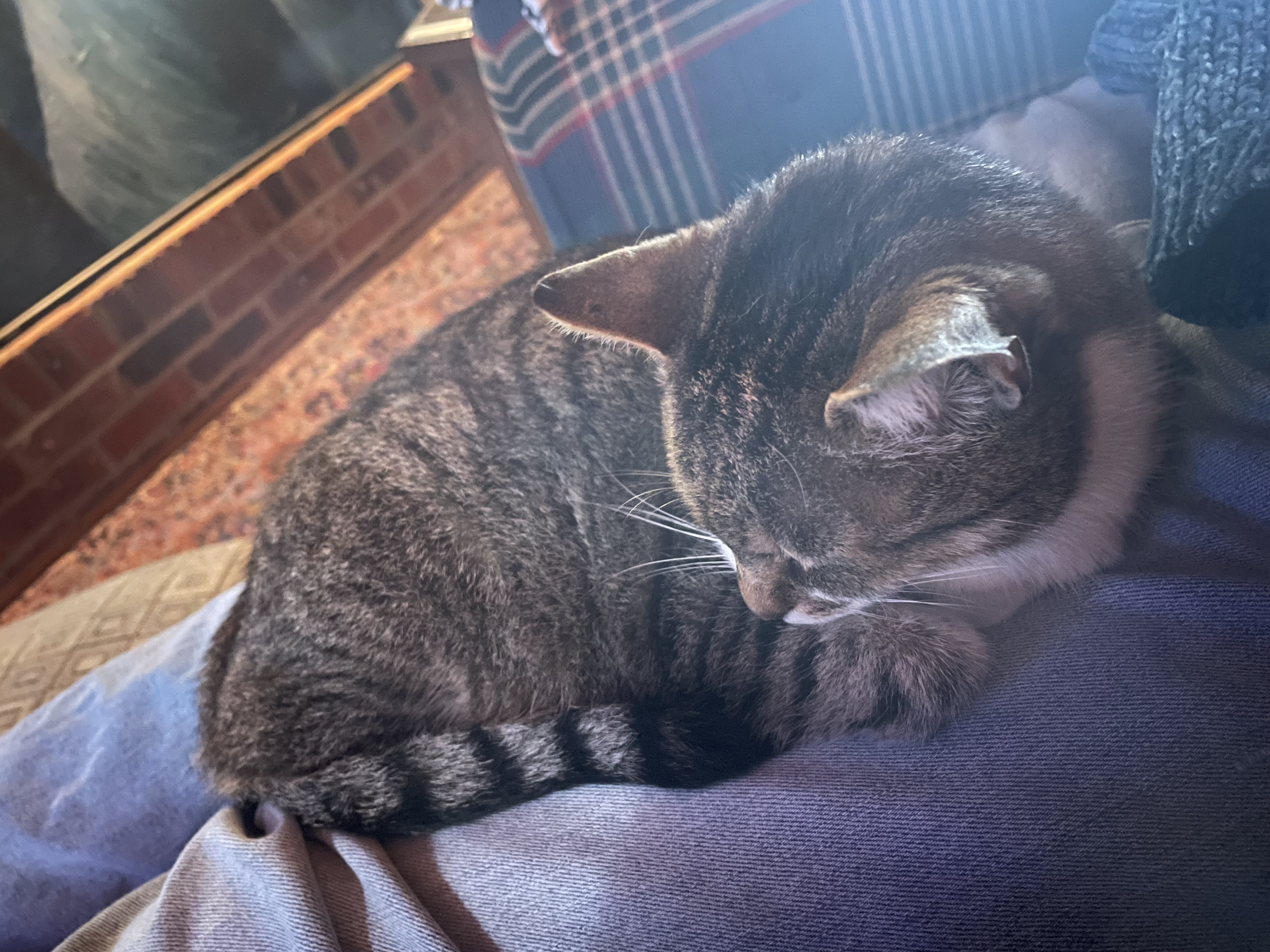 sleepy