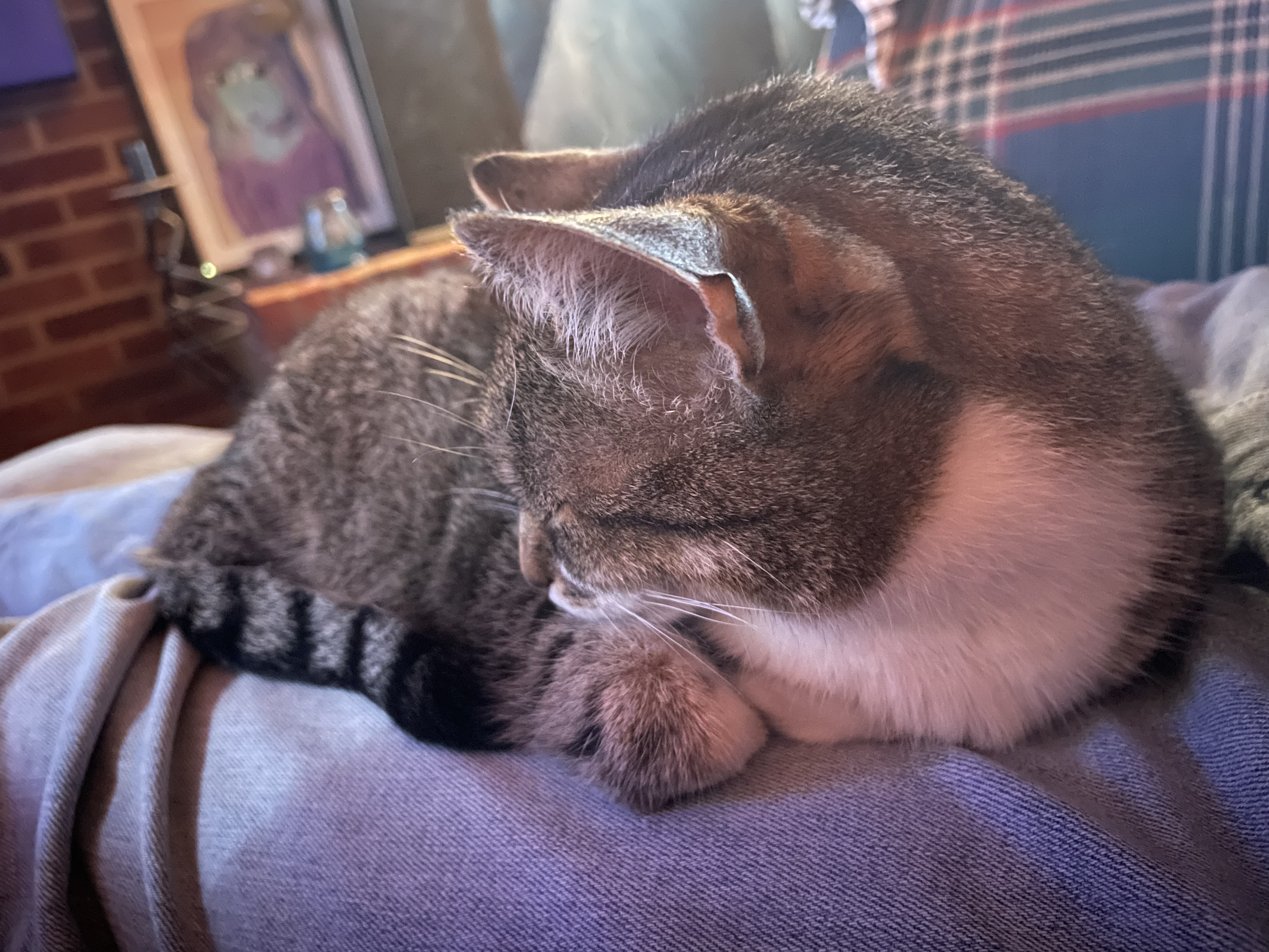sleepy
