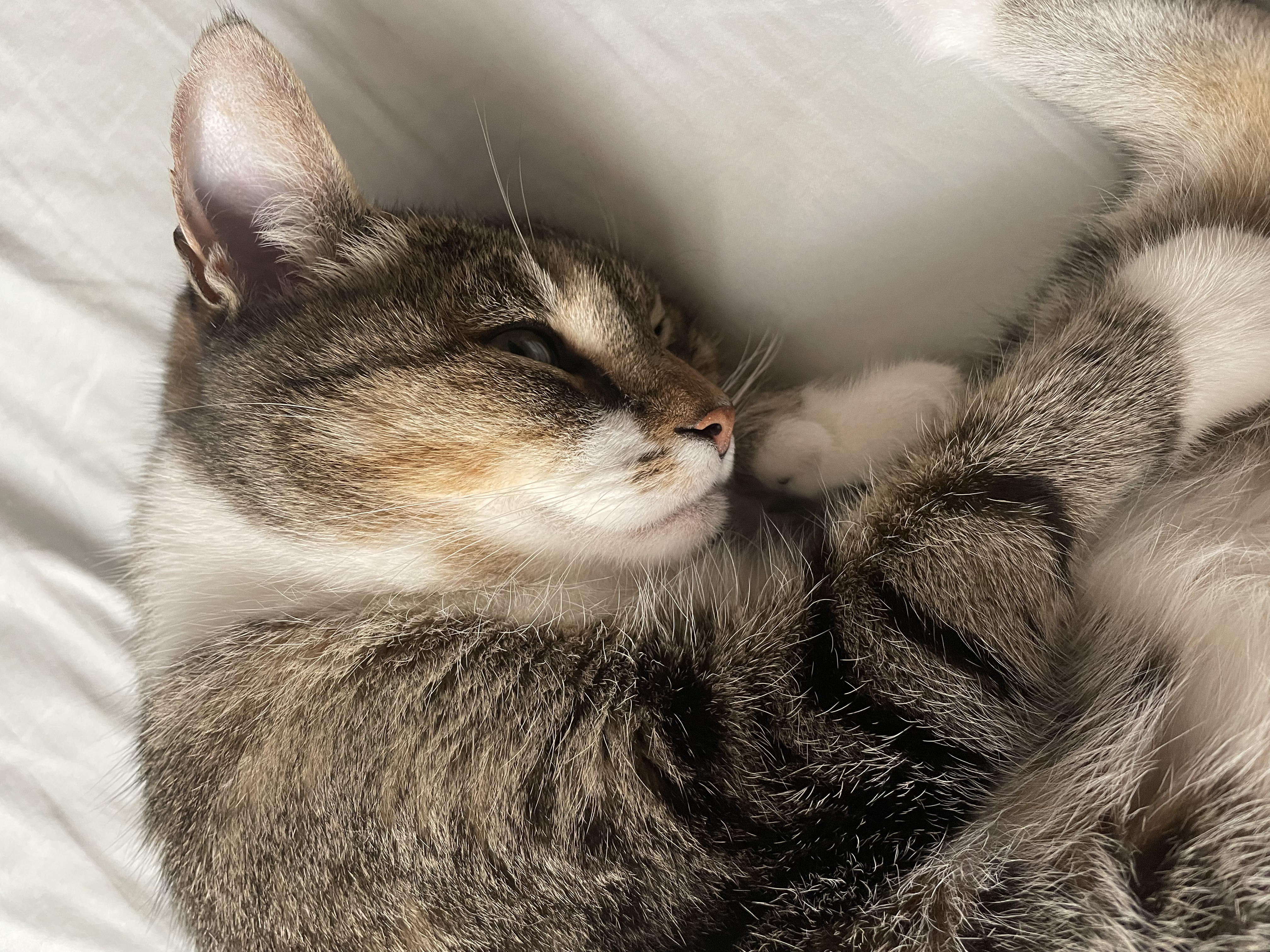 sleepy