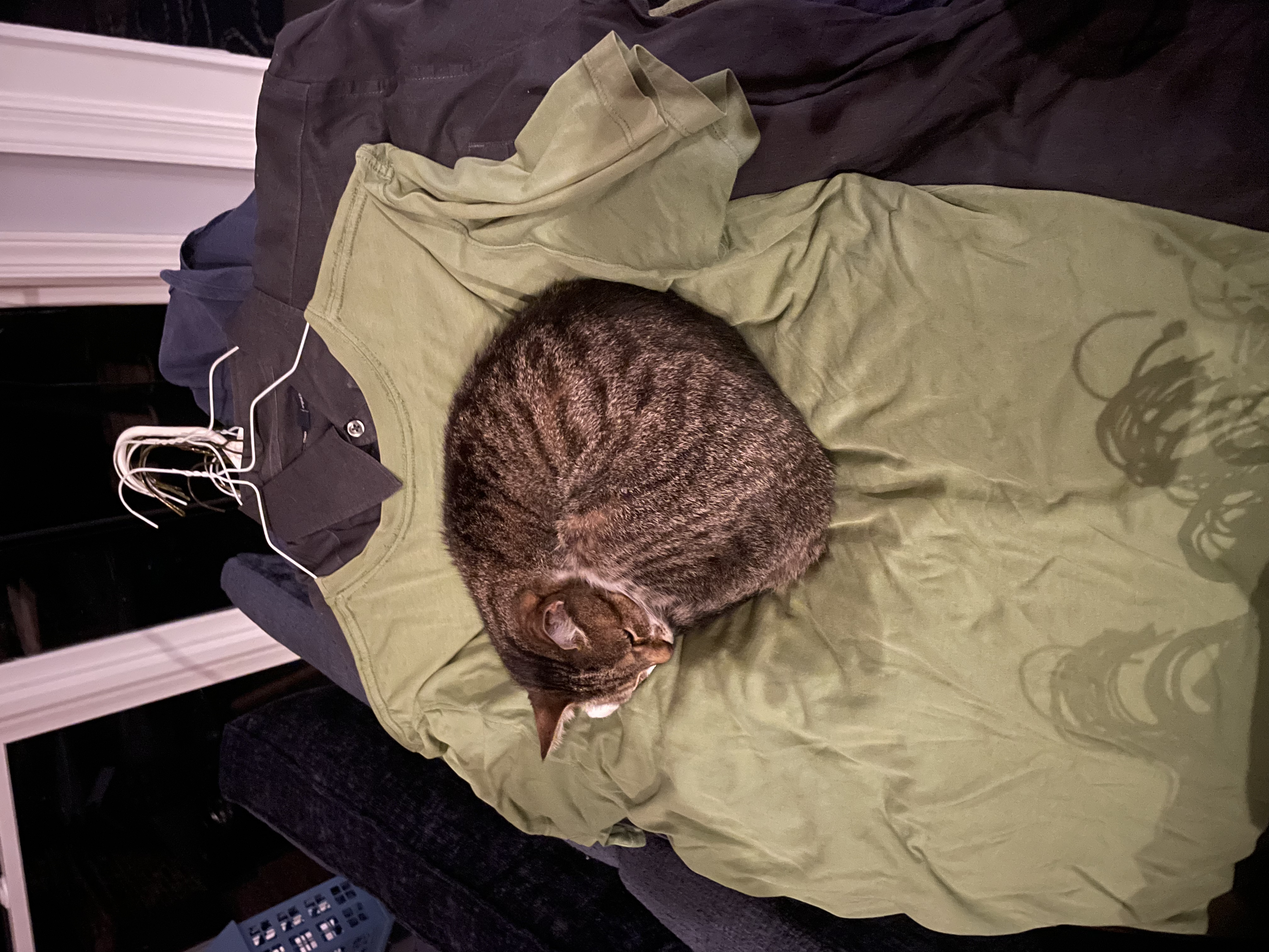sleepy