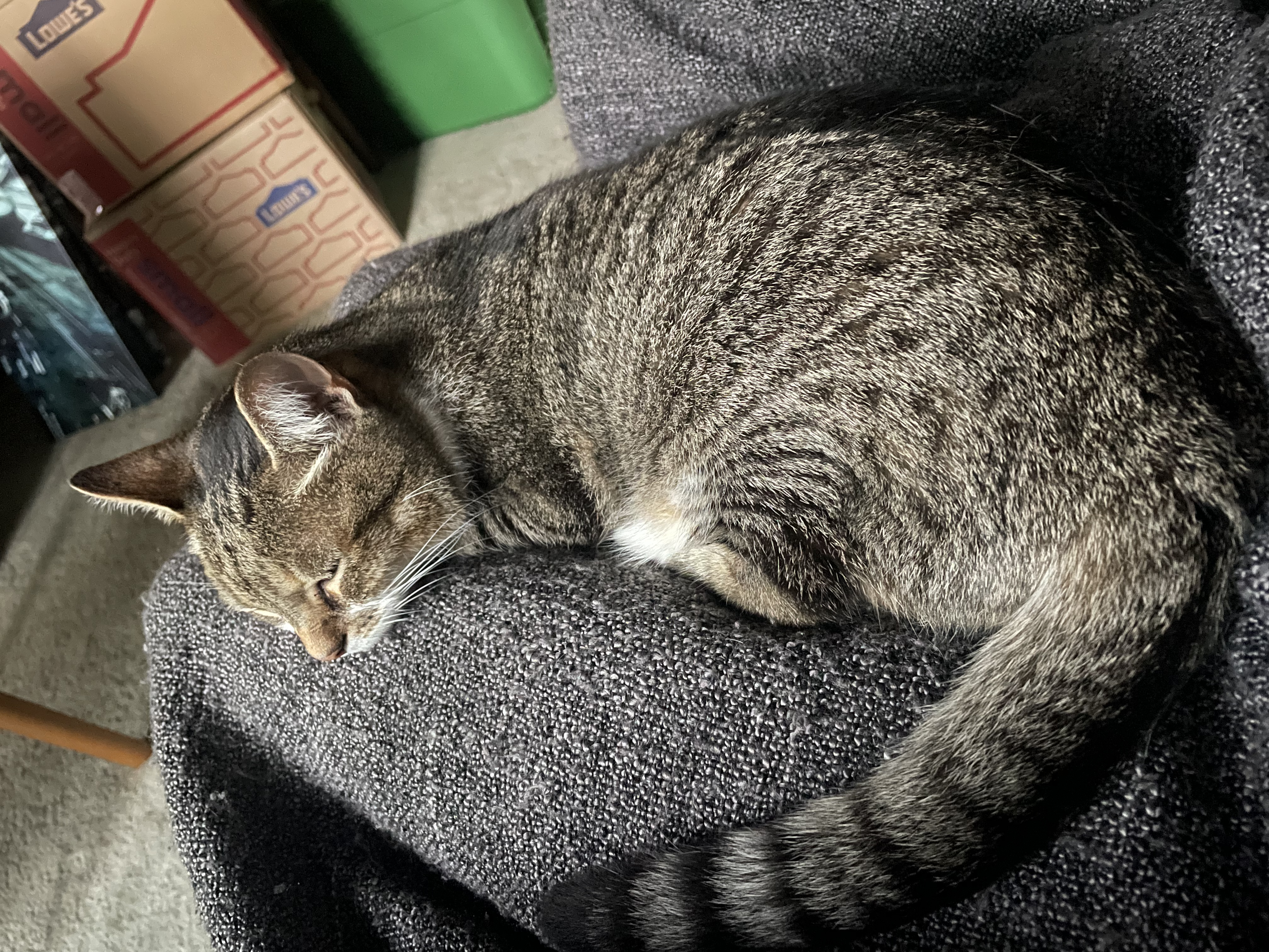 sleepy
