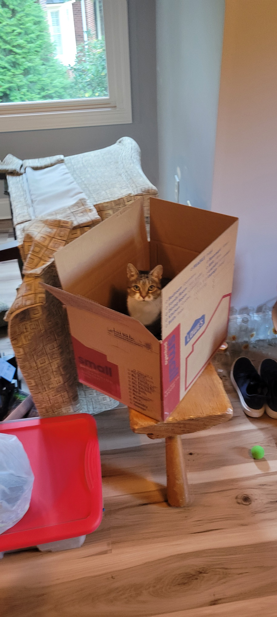 box