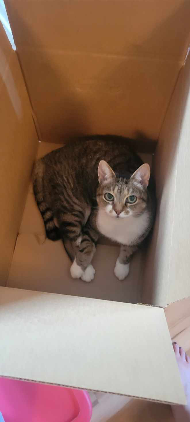 box