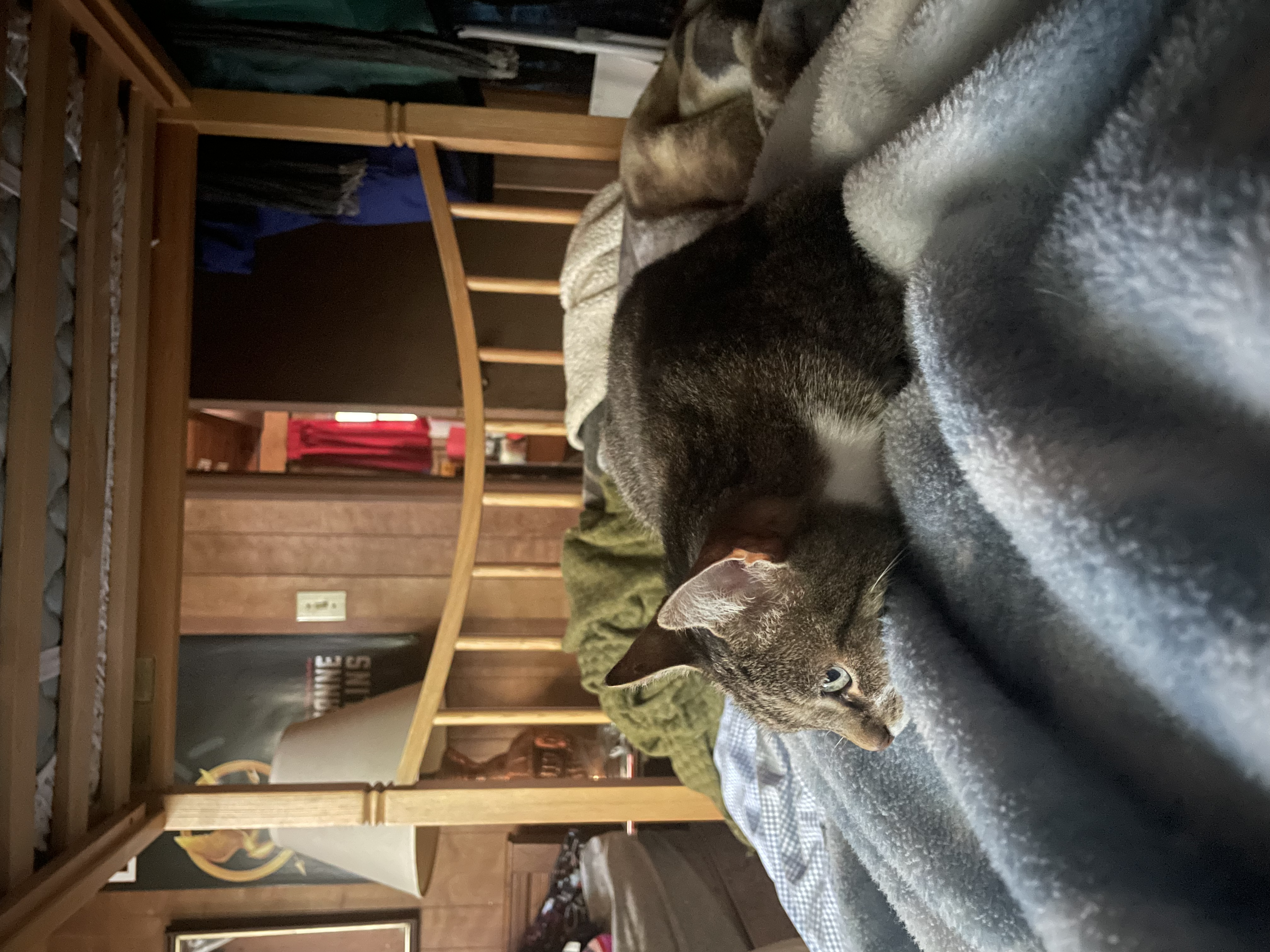 sleepy