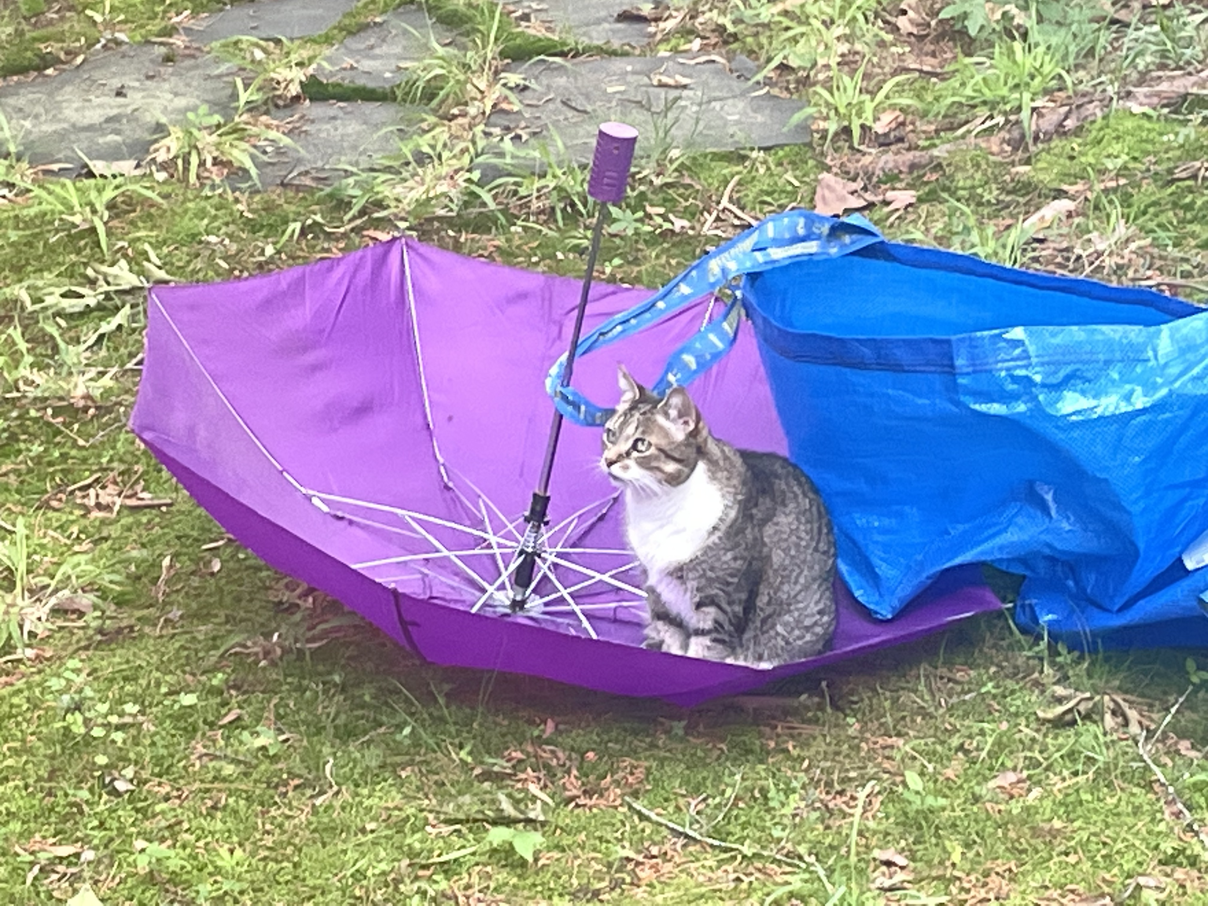 outside