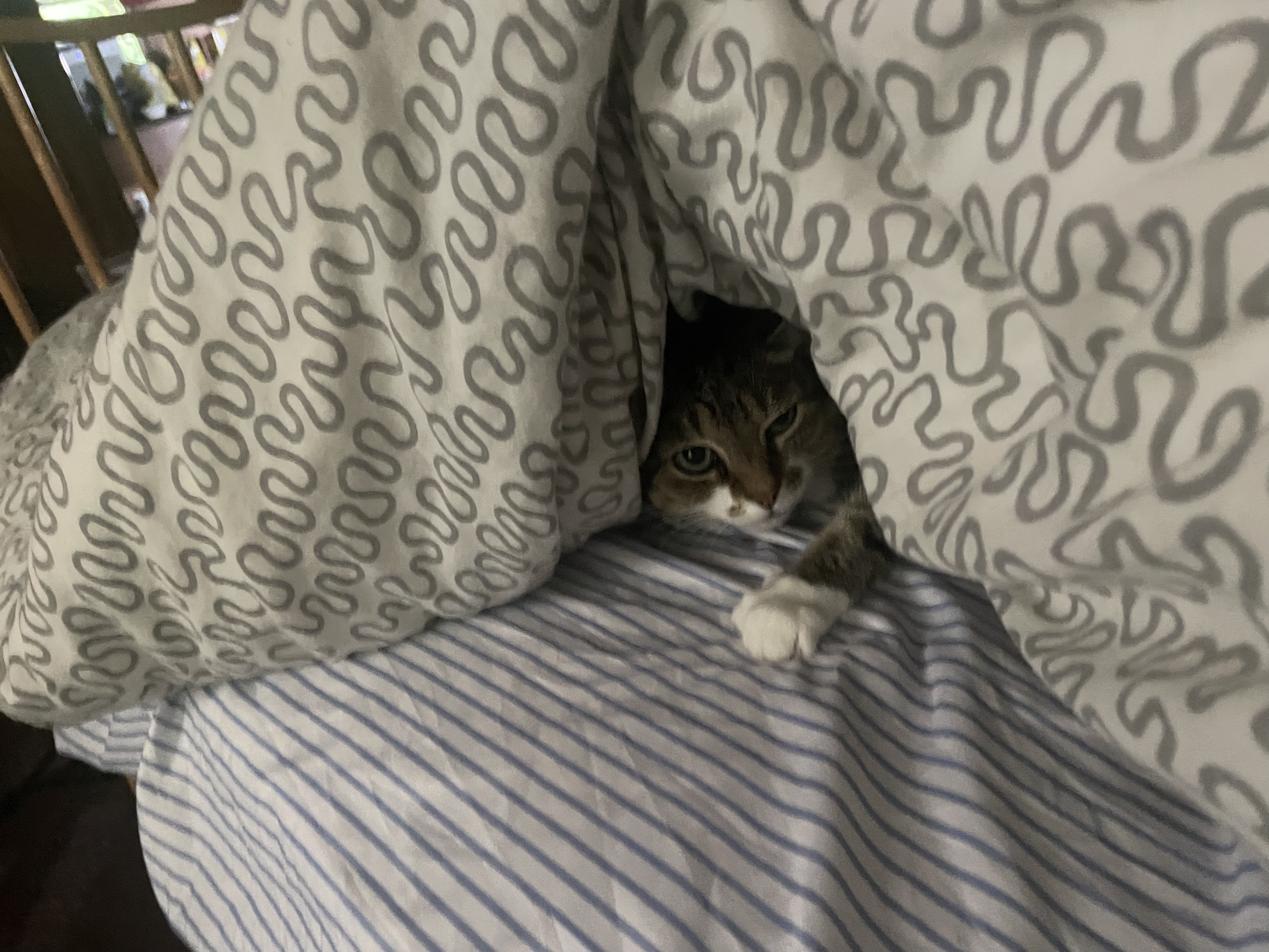 sleepy